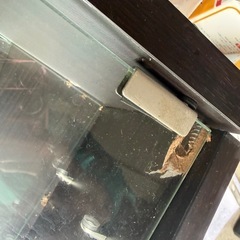 コレクションケースの画像