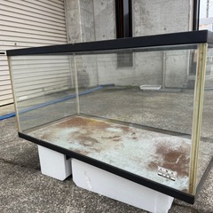 水槽　いろいろの画像