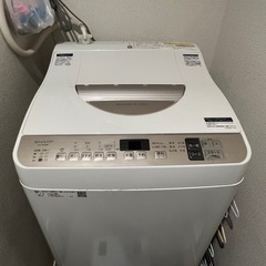 縦型洗濯乾燥機 ゴールド系 [洗濯5.5kg /乾燥3.5kg /ヒーター乾燥 /上開き]
の画像