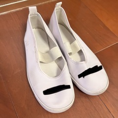 19㎝白上履き＆手作りポケモン上履き入れの画像