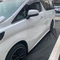 👑 王道・高品質アピール（迷ったらこれ）の画像