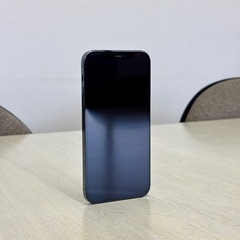 iPhone12 Pro 256GB パシフィックブルー SIMフリー 本体 箱ありの画像