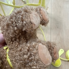 【ほぼ未使用！】お散歩出来る犬のおもちゃの画像