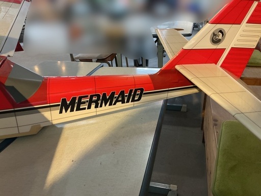 大型　模型飛行機