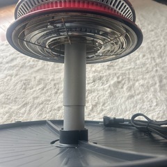 ザイグル NC-300 RED ZAIGLE 赤外線ロースの画像