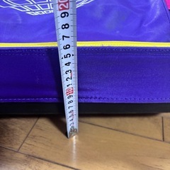 スキー用キャリーバッグの画像