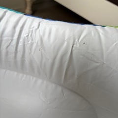 ウミガメ浮きの画像