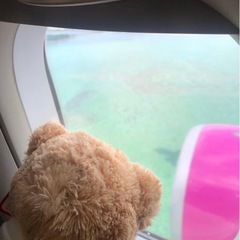 peach航空　くまぬいぐるみ　ブラウン＋ナチュラルまとめての画像