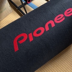 Pioneer TS-WX300TA の画像