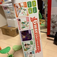 プーメリの画像