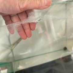 GEXガラス水槽　フィルター循環装置　スポイト　あみヒーター付きの画像