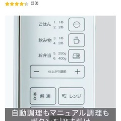 ニトリ17L電子レンジの画像