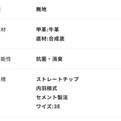 青山　スタイルアップシューズ　26.0cmの画像