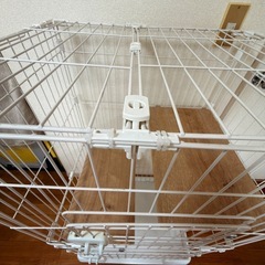 キャットケージ　
猫　　中古の画像