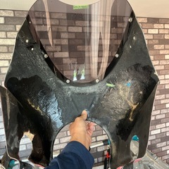 バイクビキニカウル　の画像