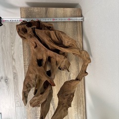 アクアリウム　流木　ホーンウッド　60cm超の画像