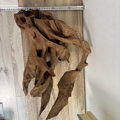 アクアリウム　流木　ホーンウッド　60cm超の画像