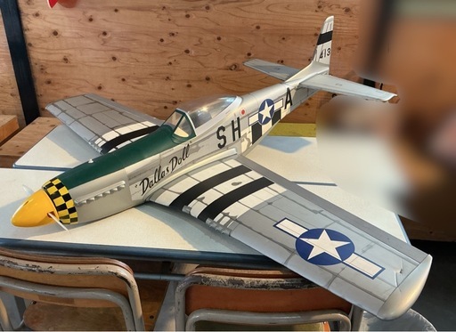 大型　模型飛行機