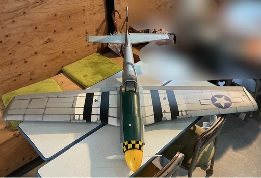 大型　模型飛行機
