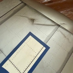 大型　模型飛行機の画像