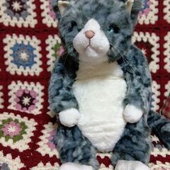 cuddly ぬいぐるみ猫ちゃん 幸四郎ちゃんの画像