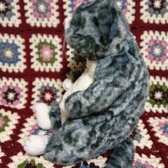 cuddly ぬいぐるみ猫ちゃん 幸四郎ちゃんの画像