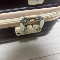 ブラウンキャリーケース TSAロック付き 新品Sの画像