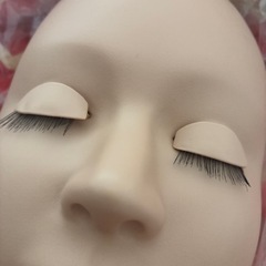 まつ毛練習ドールの画像