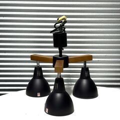 店頭引き渡し 中古 ニトリ ペンダントライト 照明 動作未確認 の画像