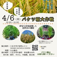 自然農法の畑の援農