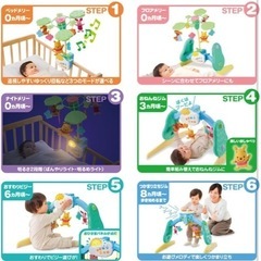 プーメリーの画像