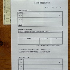 SCHEIN ミントグリーン シティバイク 前カゴ付き の画像