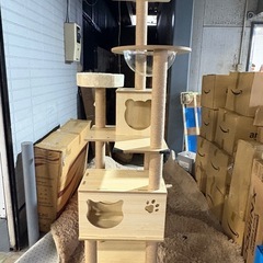 新品　立組立済み キャットタワー 木製 大型猫 据え置き 省スペース スリム 猫タワー 宇宙船2個 中型 シニア猫 キャットツリー おしゃれ クリアボウル 隠れ家 ボックス 猫ハウス 爪とぎポール 多頭飼い 安定 高さ170cm 運動不足解消 麻紐 サイザル麻 スクラッチ コットン紐巻き 木目 猫ベッド 展望台 見晴台 インテリア性 頑丈 上下しやすい ストレス発散 成猫 子猫　の画像