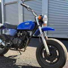 HONDA エイプ50（AC16）キャブ車 ベース 愛知県一宮市の画像