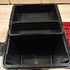 リングスターD  4700の画像