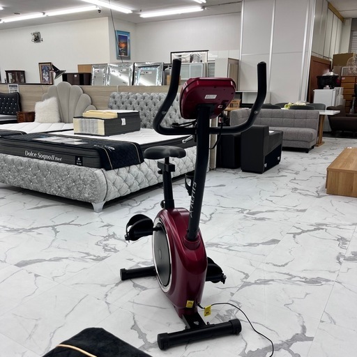 ✨??️‍♀️❗️中古　ALINCO プログラムバイク7019E