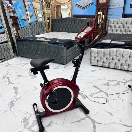 ✨??️‍♀️❗️中古　ALINCO プログラムバイク7019E