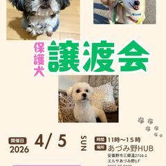 わんちゃんの譲渡会