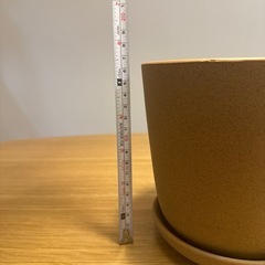 【鉢皿付き】　植物用　植木鉢の画像