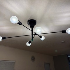 アストルの画像