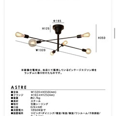 アストルの画像