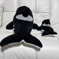 鴨川シーワールド シャチくじ3等&5等セットの画像