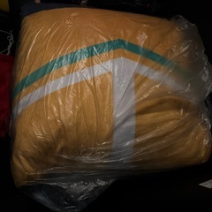 ✨大きめ  bigドラえもん ドラミ クッション まくらの画像