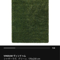 カーペット　ラグの画像