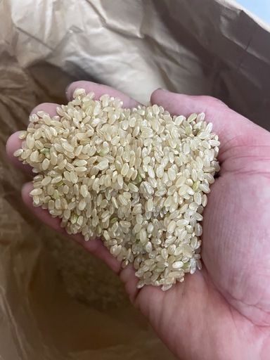 令和7年度産　アキサカリ　玄米30kg