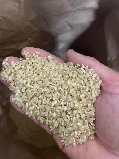 令和7年度産　あきさかり　玄米30kg