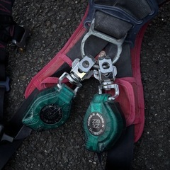 フルハーネスの画像