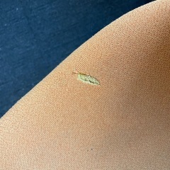 イトーキオフィスチェア2台/1台傷ありの画像