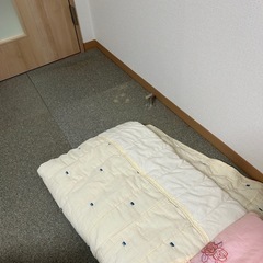 【無料】夏用布団（シングル2枚セット）お譲りします（早い者勝ち）の画像