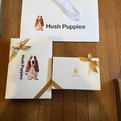 ハッシュパピー　トレーナー上下　Mサイズの画像